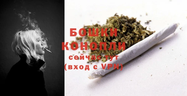 спиды Лиски