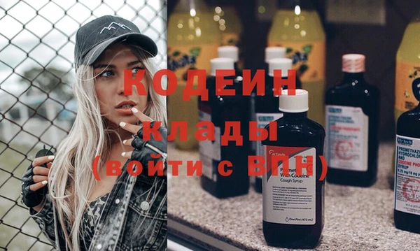 спиды Лиски
