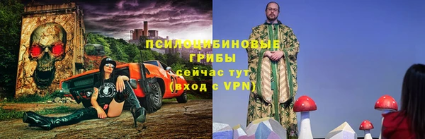 соль ск Липки