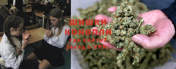 спиды Лиски